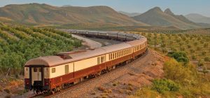 Train Al Andalus dans campagne