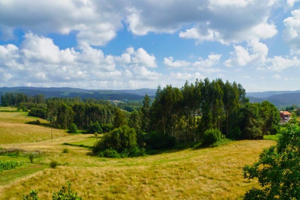 Vue panoramique des prairies verdoyantes des Asturies depuis la fenêtre d'une suite du Costa Verde Express