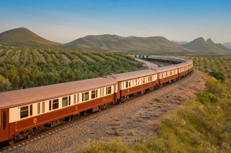 Train Al Andalus luxe traversant les oliveraies d'Andalousie avec montagnes en arrière-plan