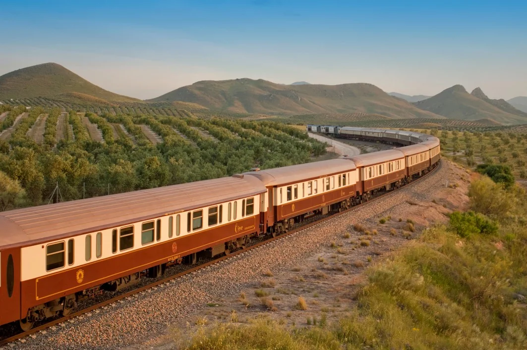 Train de luxe Al Andalus traversant les champs d'oliviers d'Andalousie au coucher du soleil