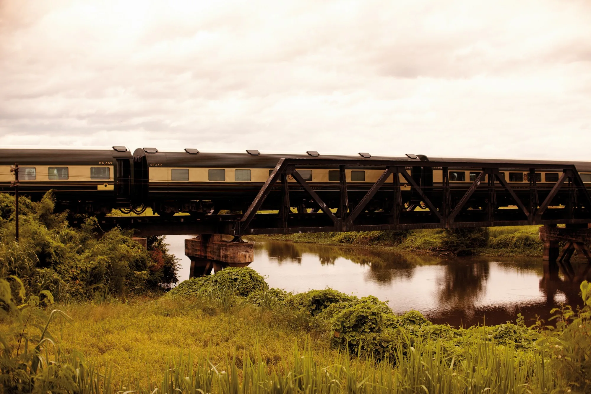 Eastern Oriental Express traversant un pont au-dessus d'une rivière dans un paysage tropical de Malaisie