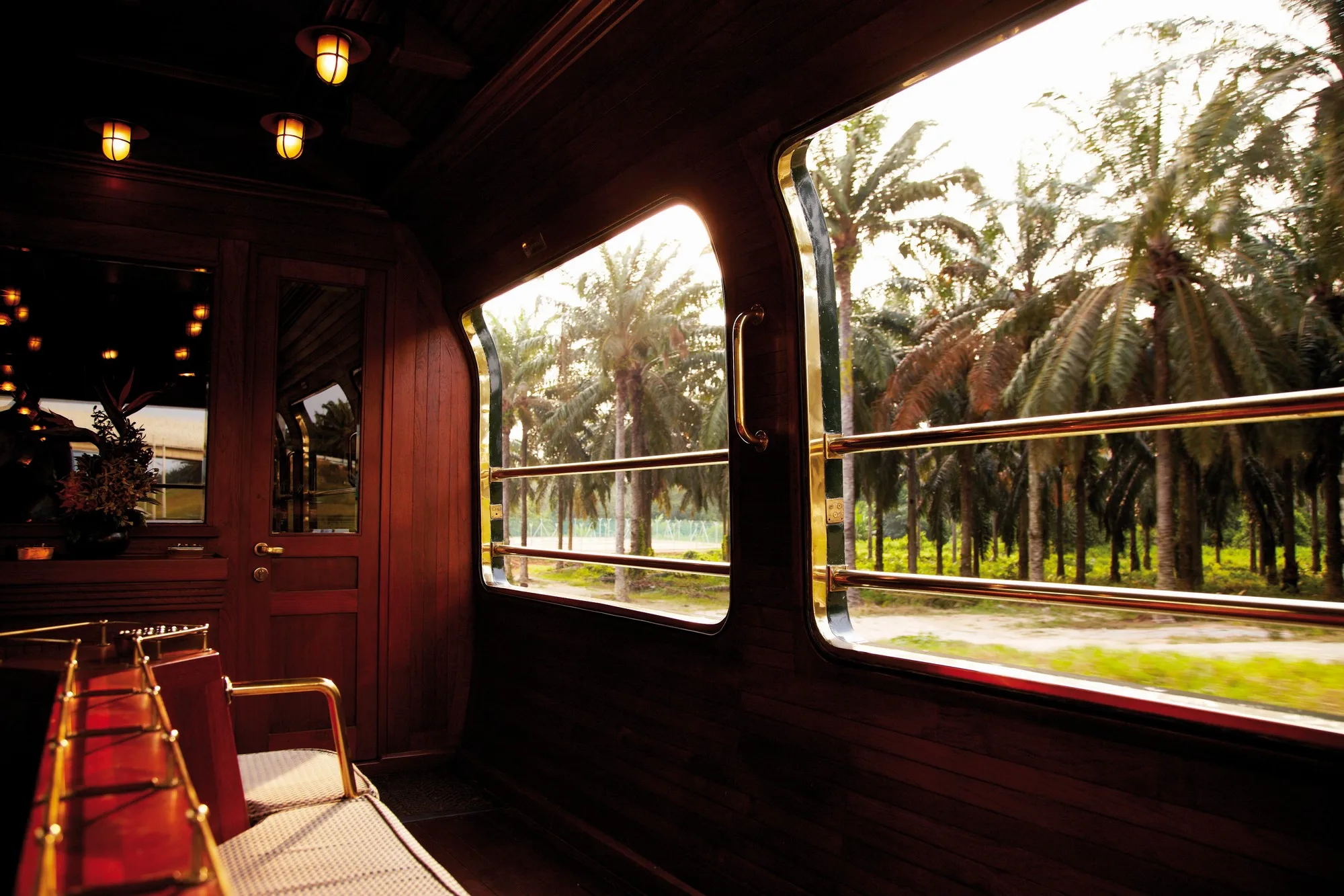 Voiture d'observation de l'Eastern Oriental Express avec vue sur les palmiers à travers les boiseries en bois