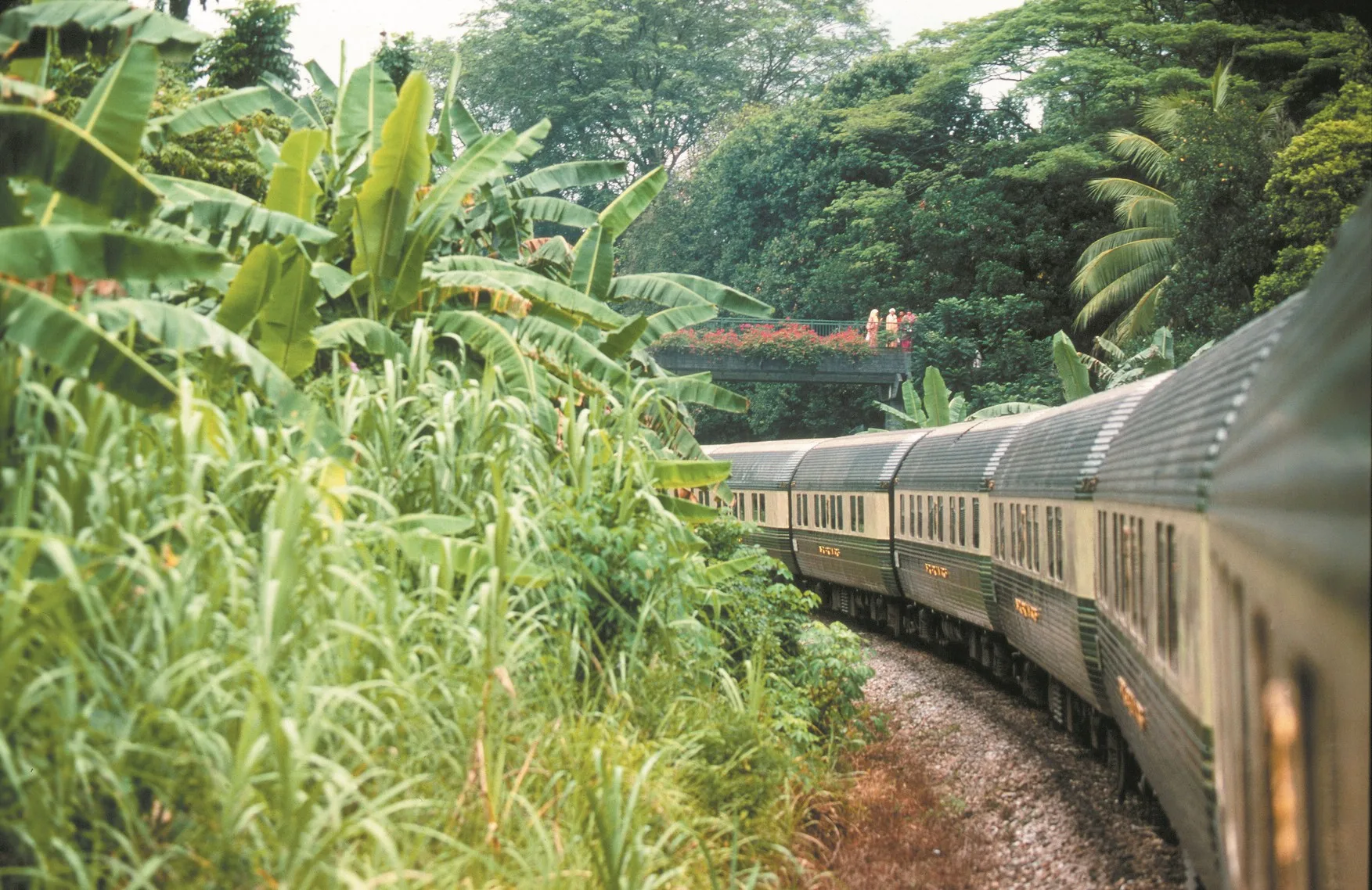 Wagons de l'Eastern Oriental Express traversant une végétation tropicale dense en Malaisie