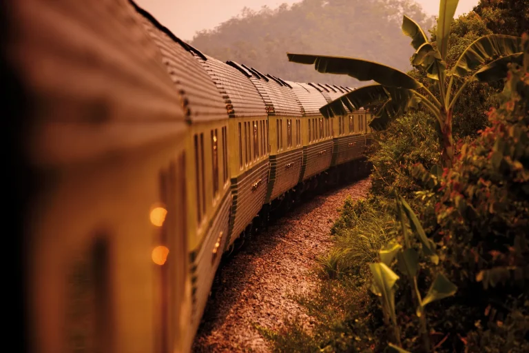Wagons Verts de l'Eastern Oriental Express au coucher de soleil avec végétation luxuriante