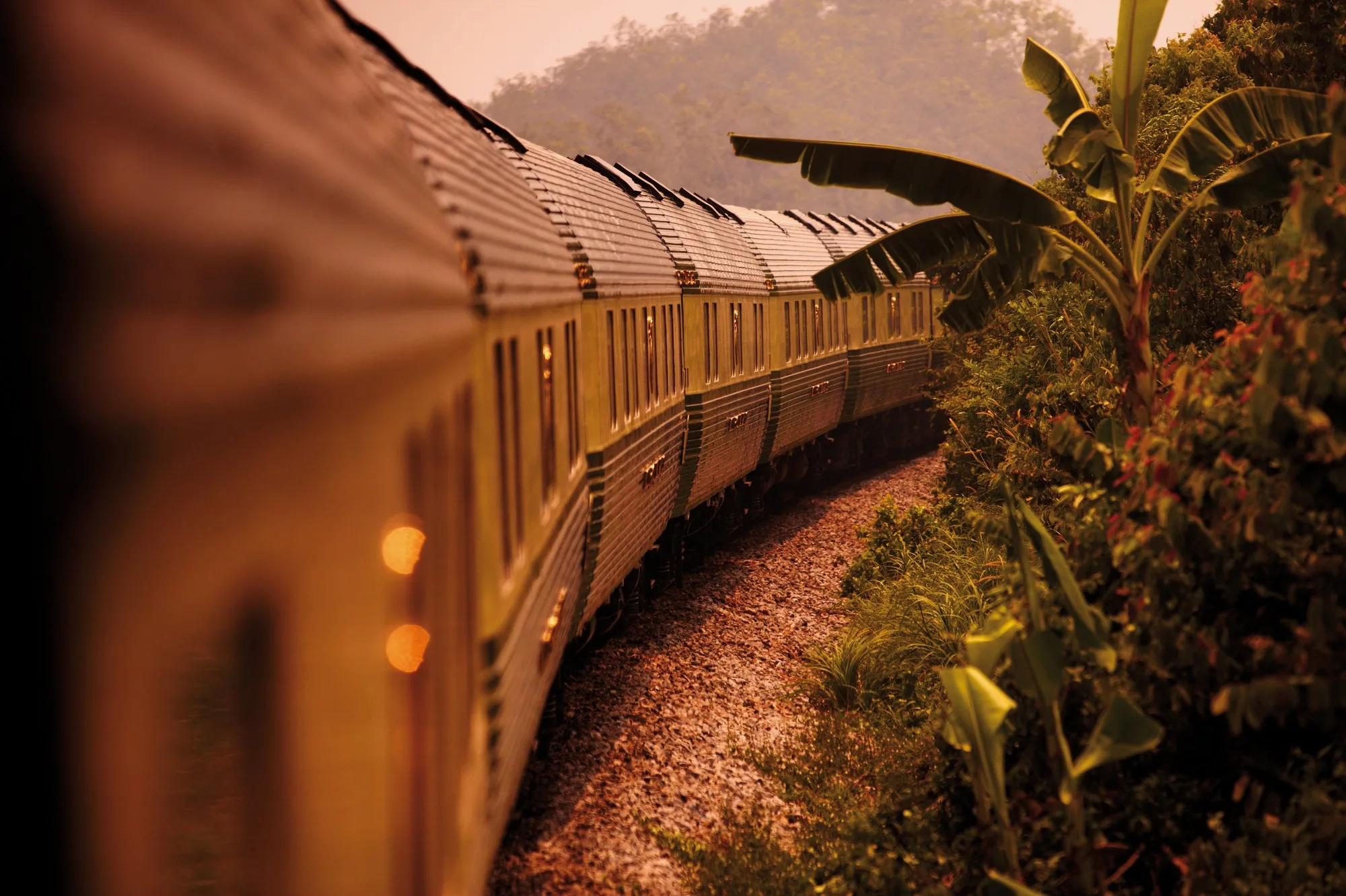 Wagons Verts de l'Eastern Oriental Express au coucher de soleil avec végétation luxuriante