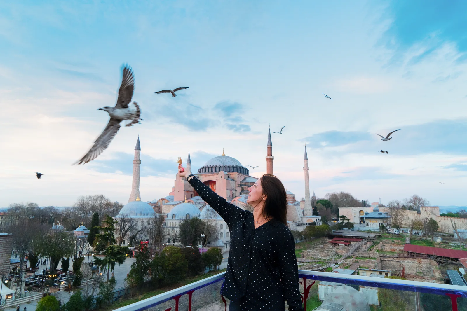 Sainte-Sophie d'Istanbul et mouettes – à découvrir à l'arrivée de l'Orient Express