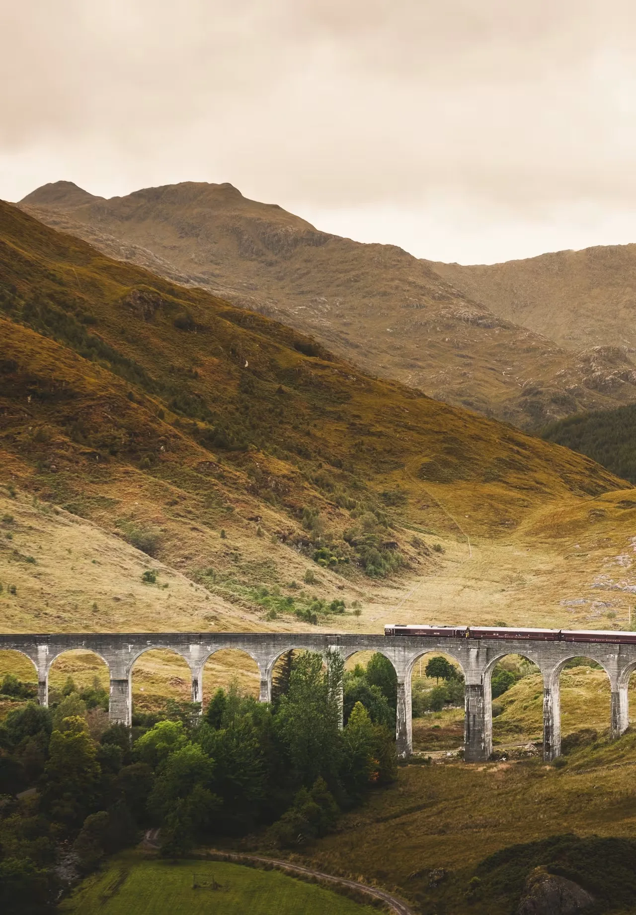 Royal Scotsman sur le viaduc de Glenfinnan — montagnes dorées d'Écosse en automne avec le train bordeaux