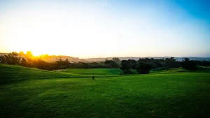 Fairway du Golf Safari Durban Country Club au coucher de soleil avec végétation tropicale luxuriante