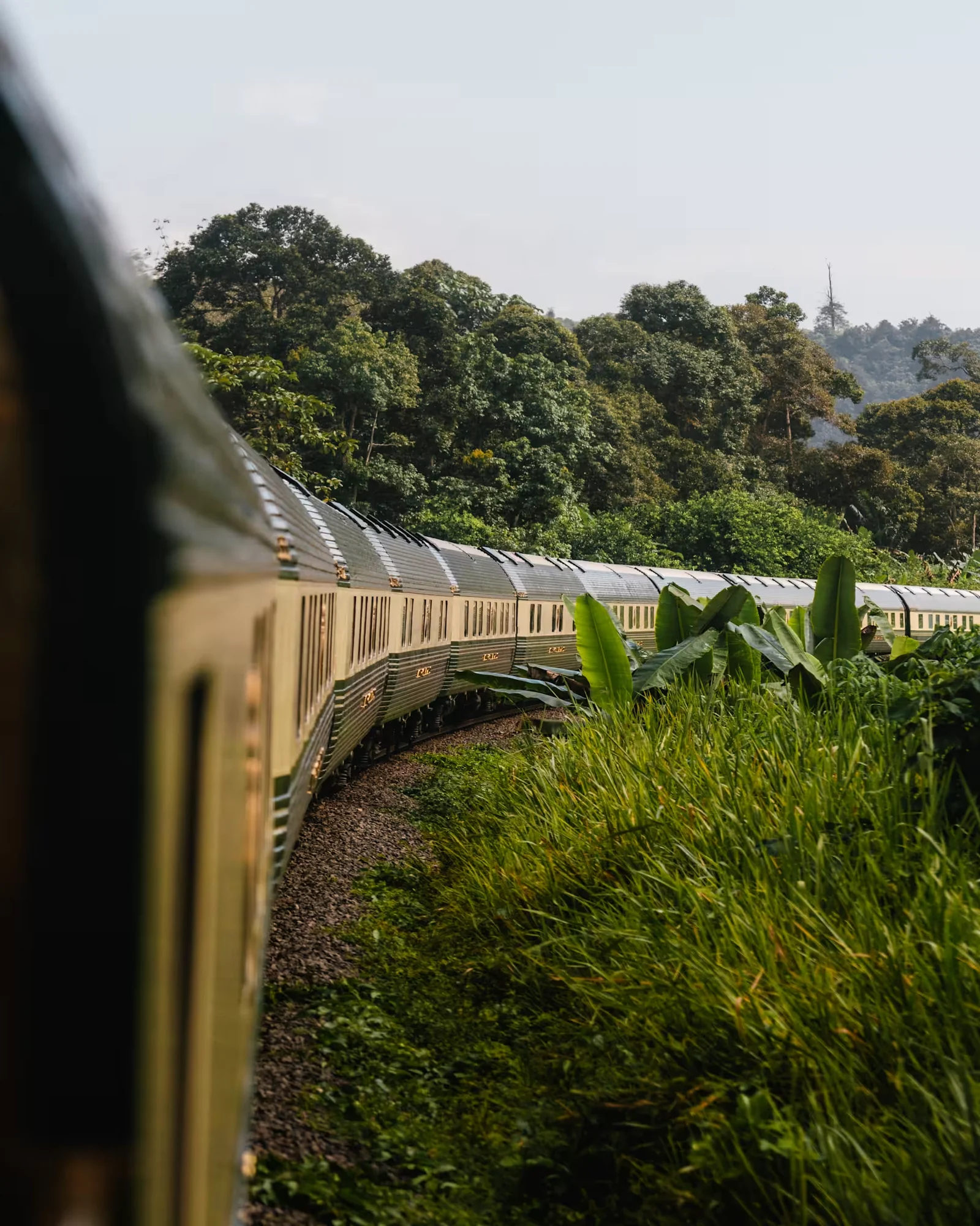 Train Eastern Oriental Express dans la jungle